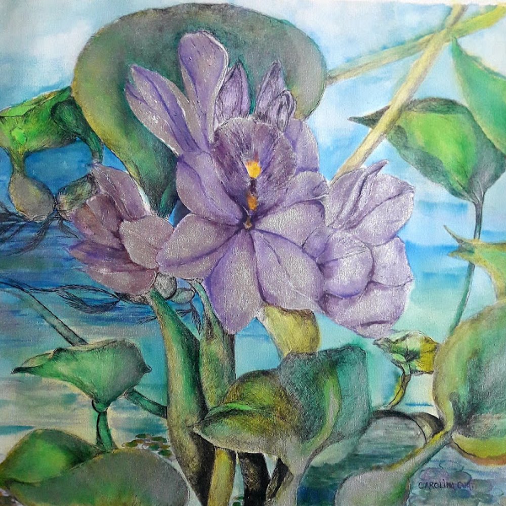 jacinto-del-agua-150