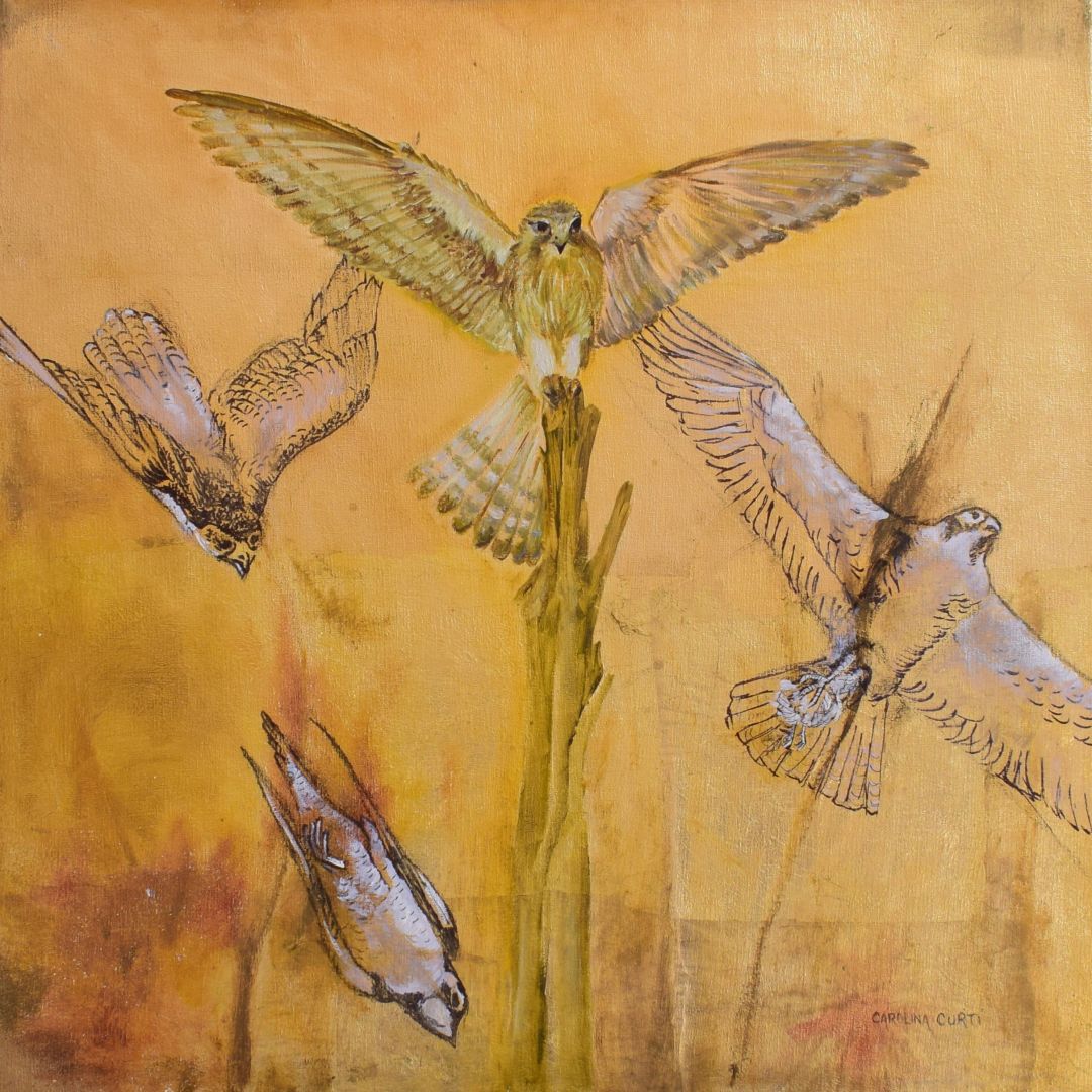 companero-de-caza--hunting-companion-186